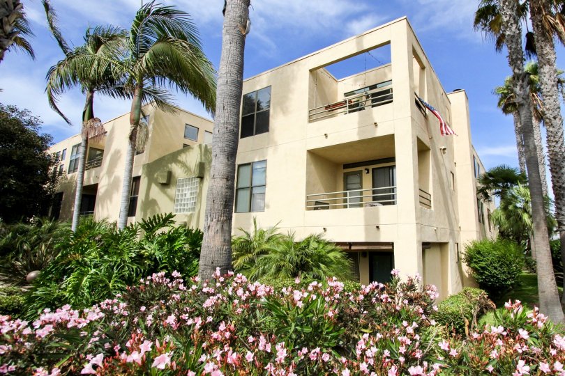 Three story beige building sitting behind pink flowers in the Vantage Point at Ocean Beach CA