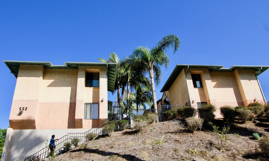 Canyon Grove, Oceanside, California, blue sky, trees