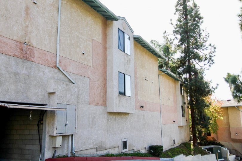 The walls of Canyon Grove and it's beauty, Oceanside, California