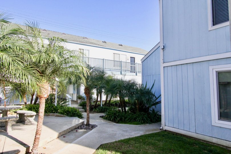 Driftwood Estates, City: Oceanside, a nice road to walk adjacent to buildings