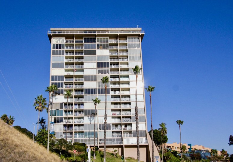 A tower amid some trees at Marina Towers in Oceanside CA