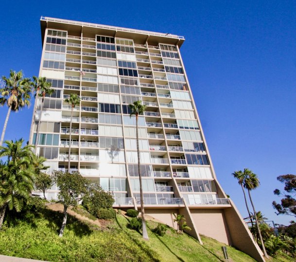 Unobstructed views, with tall mature palm trees and ample windows for natural light at Marina Towers in Oceanside, CA