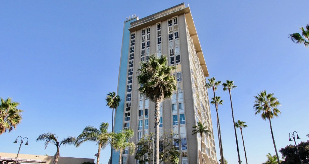 This tower stands high above the palm trees in Oceanside, California