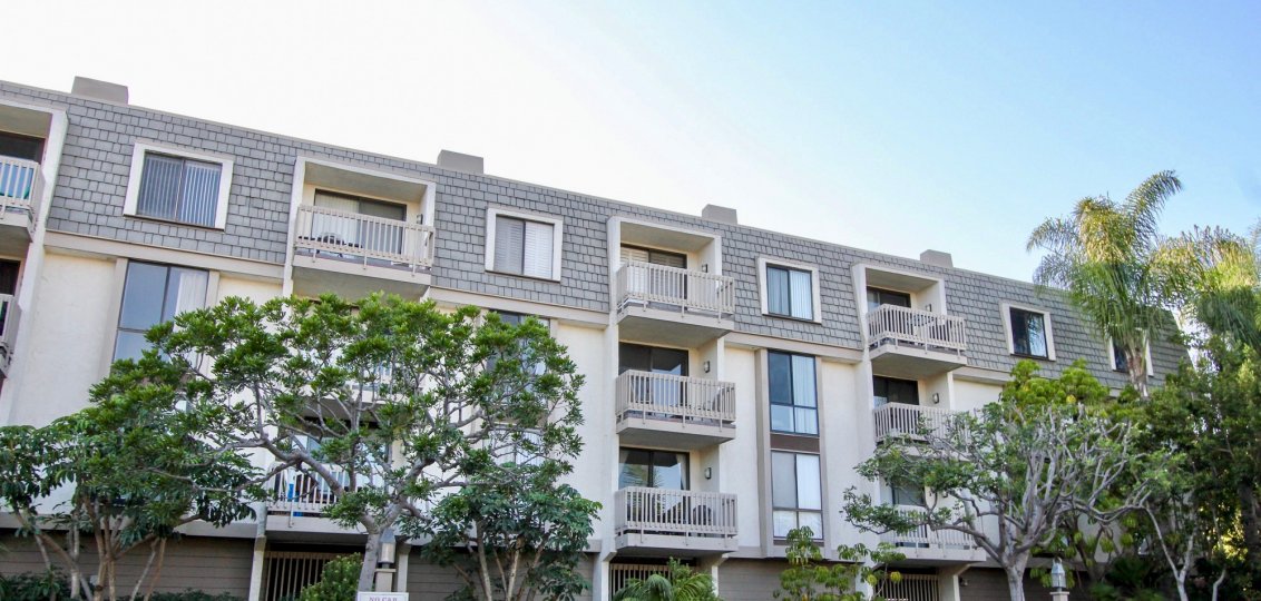 Beautiful apartment buildings adorned by palm trees in this Oceanside community
