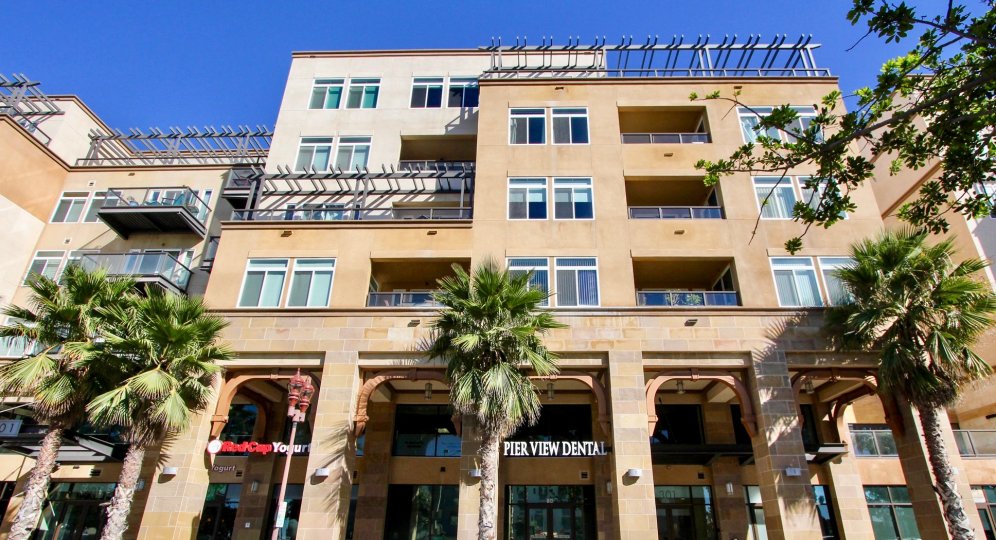 Modern looking apartments with access to food and dental amenities at Oceanside Terrace in Oceanside, CA