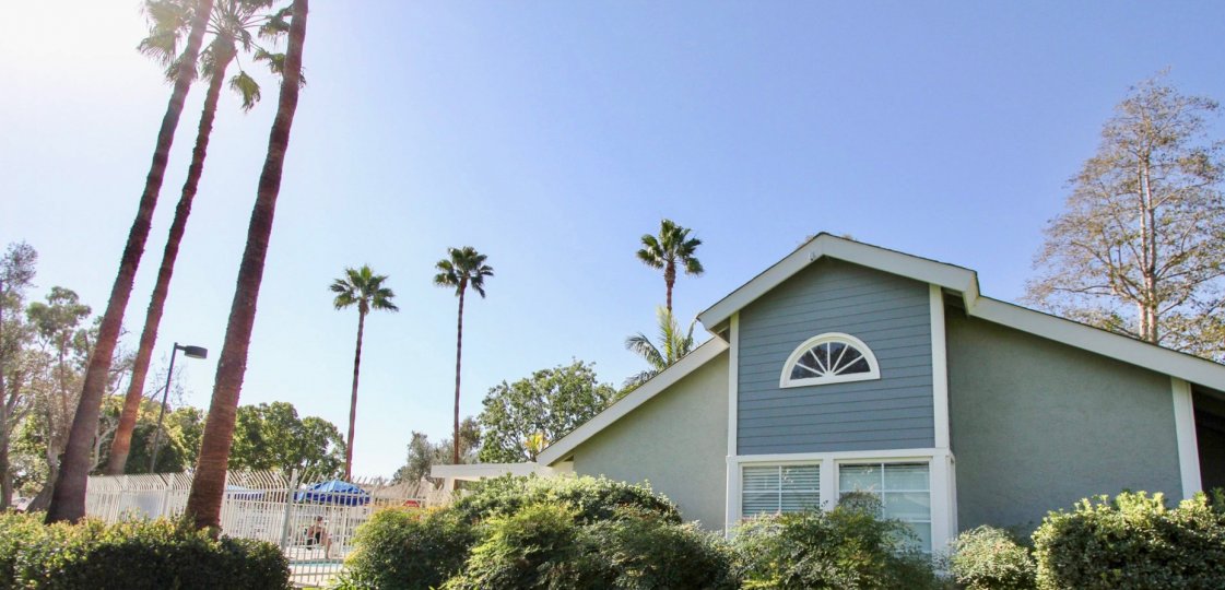 Park Circle Community Apartments in Oceanside, California, Pool with Palm Trees