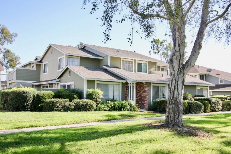 Enjoy life in your lovely neighborhood with large trees and landscaping at Park Circle.