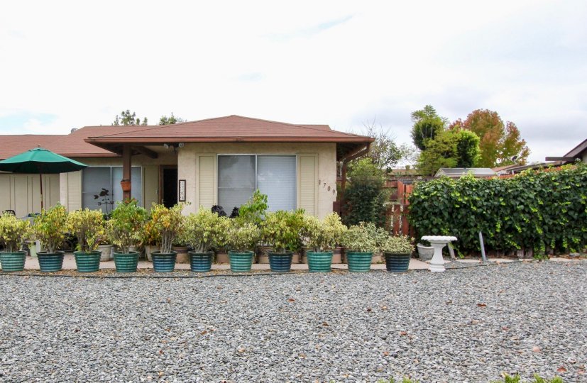 A sunny day in the area of Peacock Hills, potted plants, window, porch, umbrella