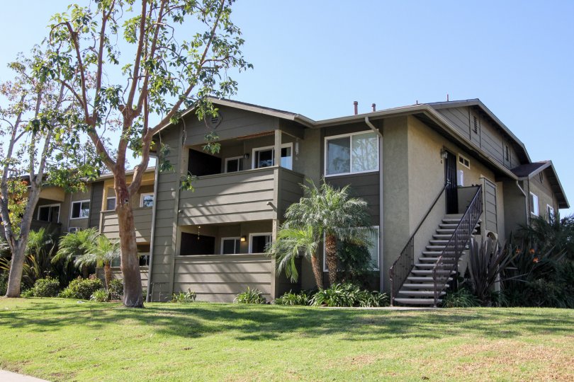 Two story condominiums with a tall tree out front in Oceanside CA at River Trail