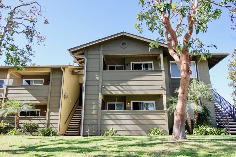 River Trail Apartments in Oceanside, California, Tree-Lined Street