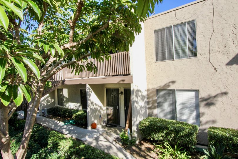 Vine Villas most attractive and beautiful bungalow looking every where greenery long and clean way come in Oceanside and see