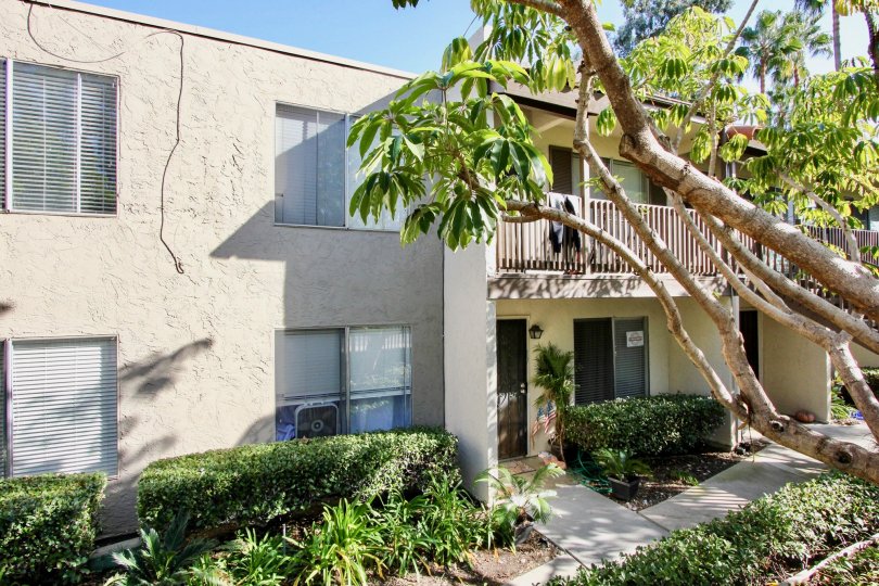 front view for the building with trees and plants in Vine Villas