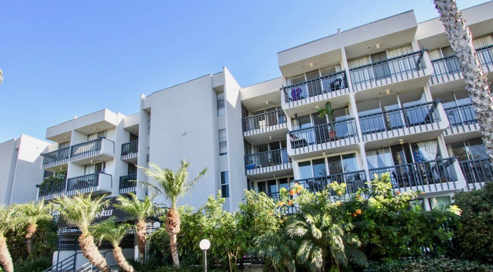 A Sunny Day in the Barrier Reef with trees outside the Apartments