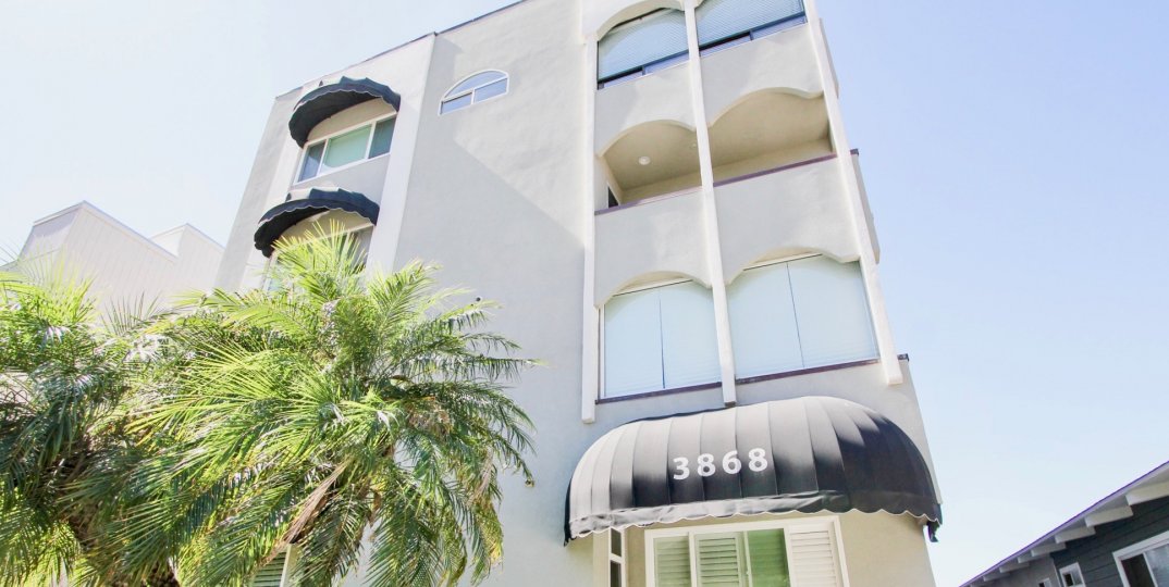 Beautiful California building with palm trees and black shaders