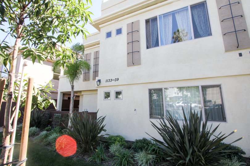 Sunshine views everyday at the Felspar Townhouse in Pacific Beach, California.