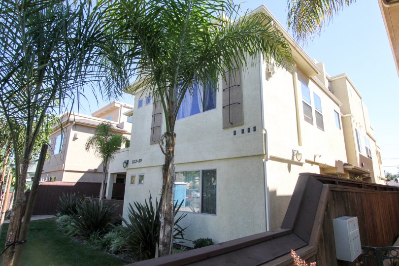 A shady backyard view of the Felspar Townhomes in Pacific Beach