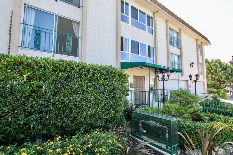 A sunny day in the area of Fortuna on Lamont, outside, palm trees, condos, parking lot