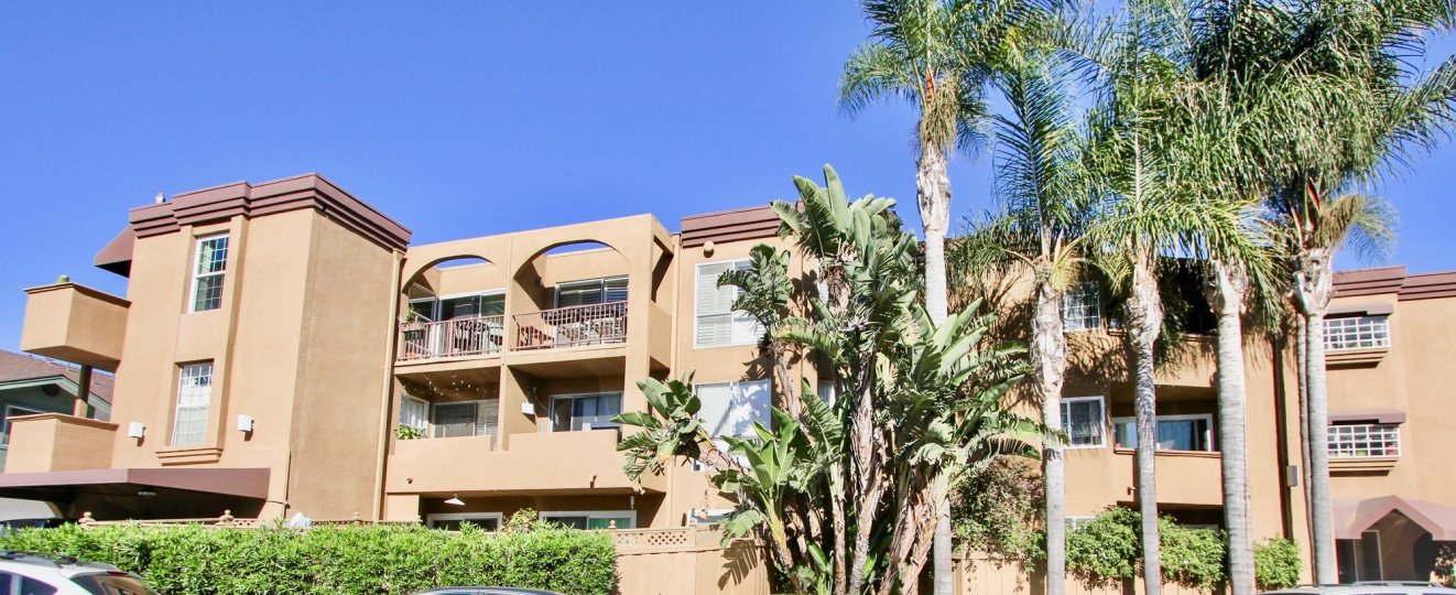 NICE BEACH HOUSE WITH MANY ROOMS AND THE DATES TREES ARE VERY BEAUTIFUL