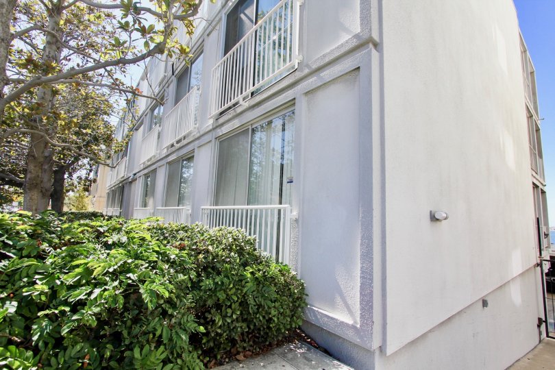 A view from the corner of Sail Bay looking onto the apartment windows and plants.