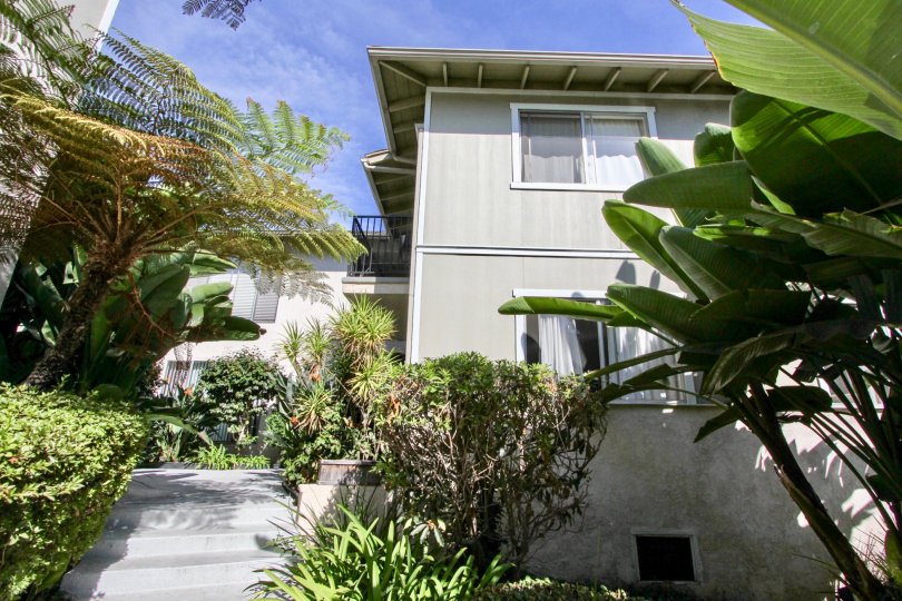 THE BUNGALOW IN THE SCOTT HOUSE WITH THE BANANA TREE, PLANTS, TREES, BALCONI