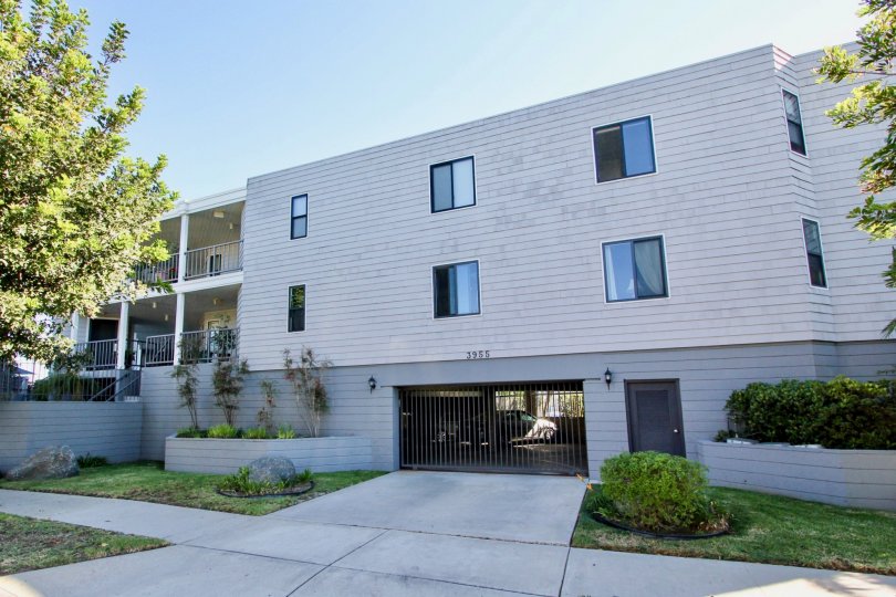 A SHINY DAY IN THE P Venice Park WITH BEAUTIFUL flat and garden