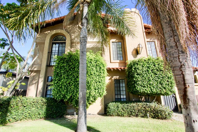 Palm trees and hedges in sunny Vista Adelle Mar, Pacific Beach, California