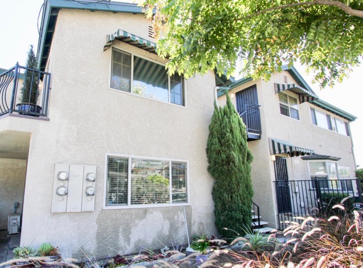 beautiful apartment homes and trees at oliphant condos