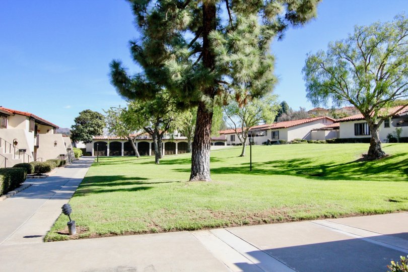 Park surrounded by residential units at Bernardo Villas in Rancho Bernardo CA