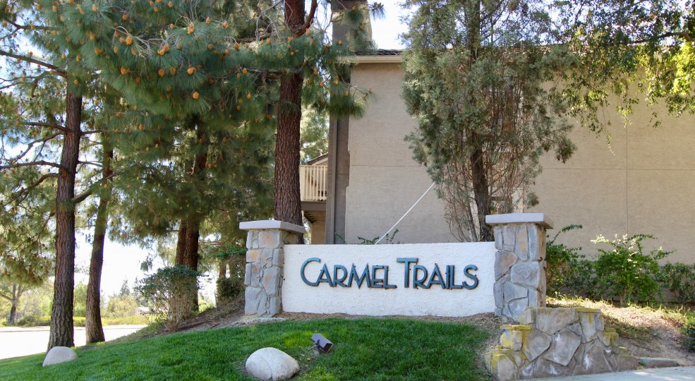 A sunny day in Carmer Trails villa with long trees, grasses and bushes