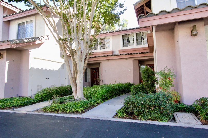 Pink residence with windows and plants at Collage in Rancho Bernardo California