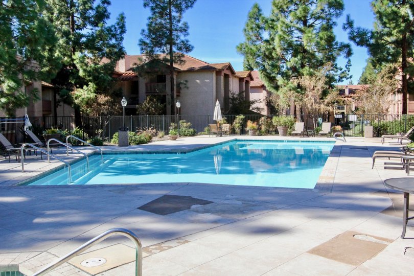 In II Palio with tall trees and swimming pool, chairs to relax mind