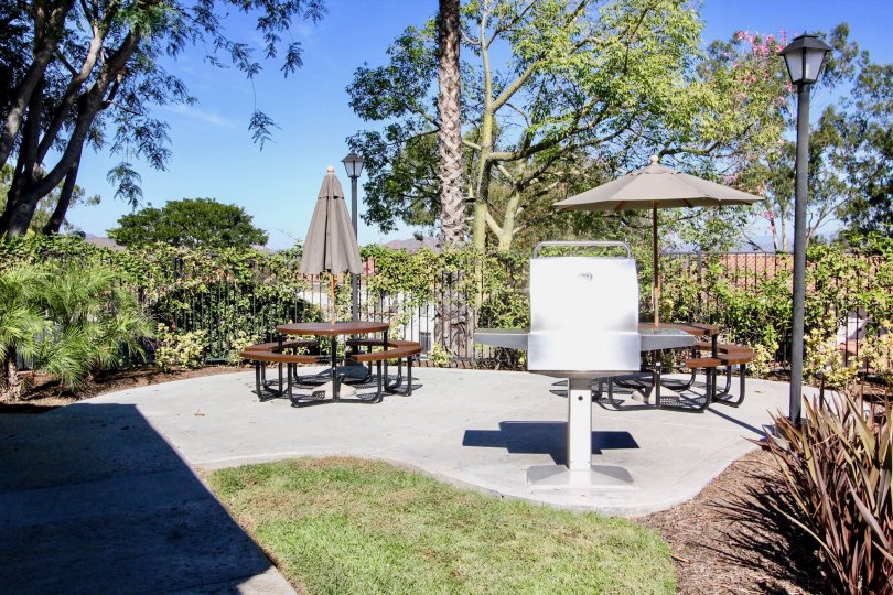 Some outdoor tables with benches and shade umbrellas, a BBQ and trees in the back during a sunny day in Lomas Bernardo, Rancho Bernardo, CA