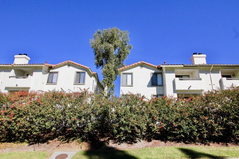 a most attractive Lomas Bernardo with beautiful tree and garden comfortable climate clean way visit with with family in weekend