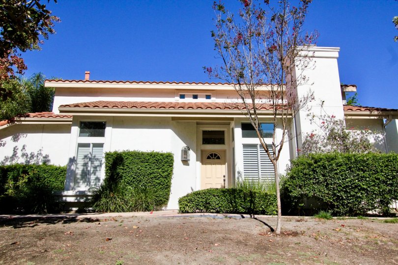 Palazzo Bernardo, City: Rancho Bernardo, backside of the building