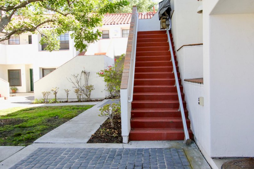 In palazzo Bernardo, a villa with steps and flower pots