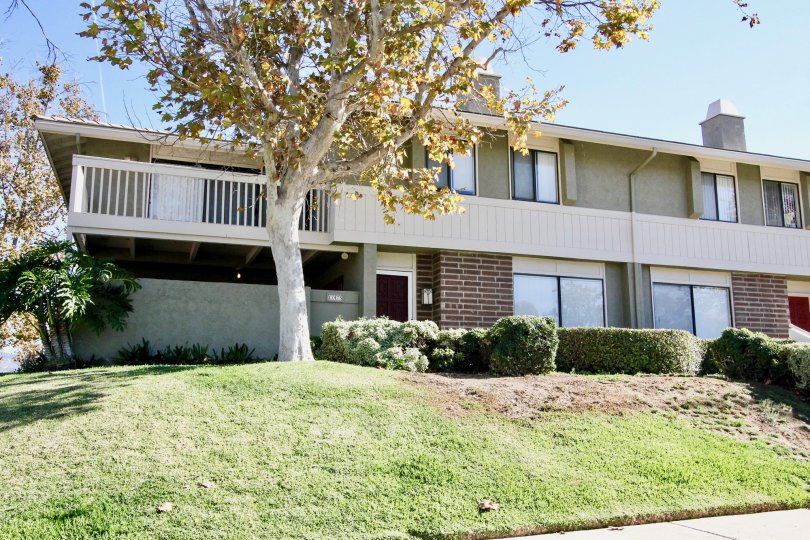 A sunny day in Playmor of Rancho Bernardo with apartment, trees and grasses
