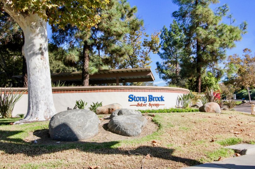 Stony Brook sabre springs with rocks and tall trees totally looks like a natural scenery
