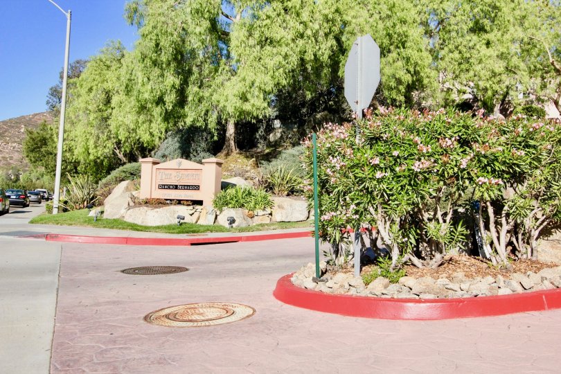 Road and park junction in Rancho Bernardo, California