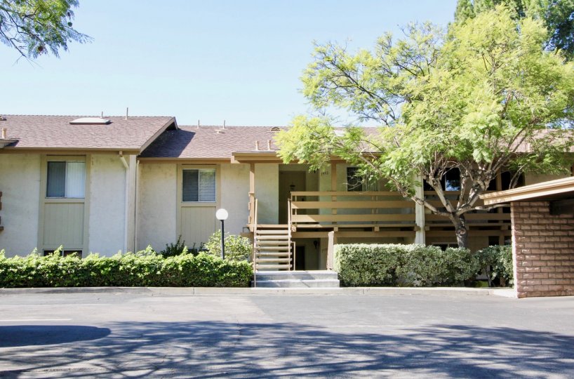view from parking of a spacious house with one floor design and lush greenery around