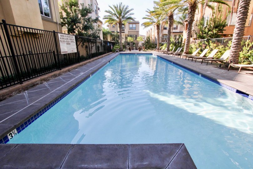 Large rectangle pool lined with lawn chairs at Magnolia in San Marcos CA