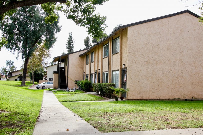 arefree East, Santee  ,: California, pathway,trees