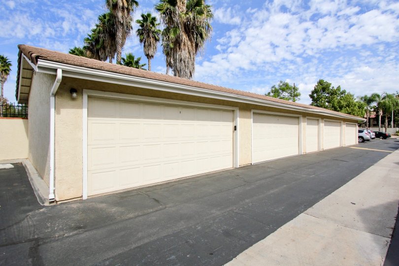 The Lakes  , Santee , California,trees, dried, white border