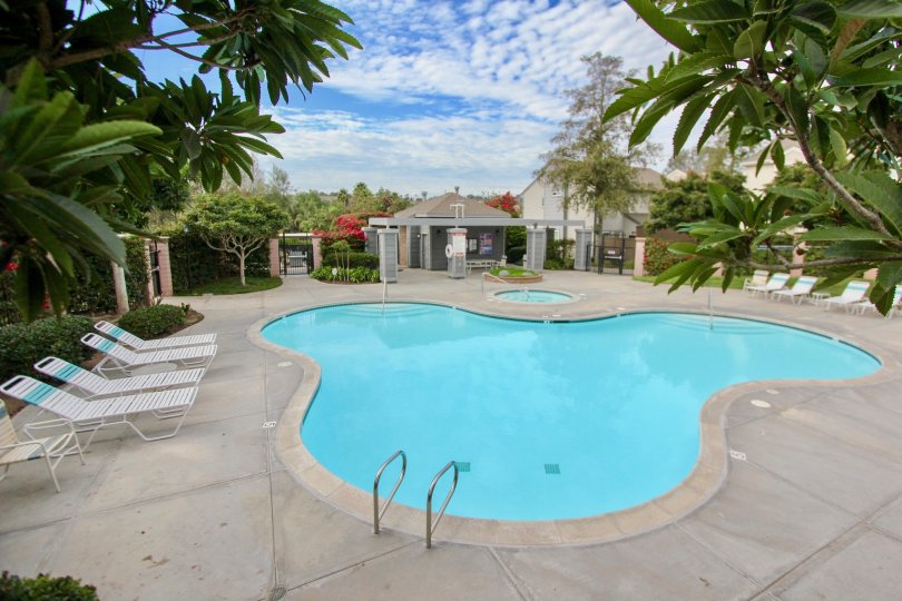 Ashford Park  ,Spring Valley, California,swimming pool,,clouds