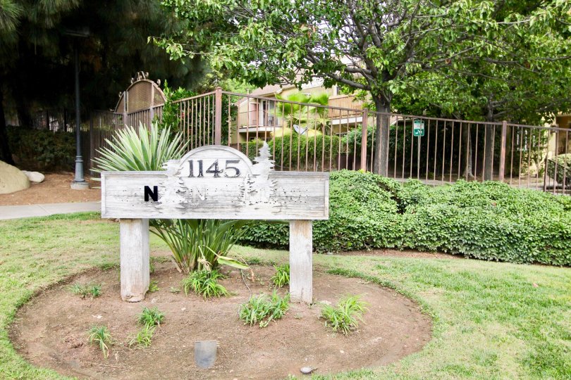 Green landscaping at Canyon Villas in Spring Valley, California.