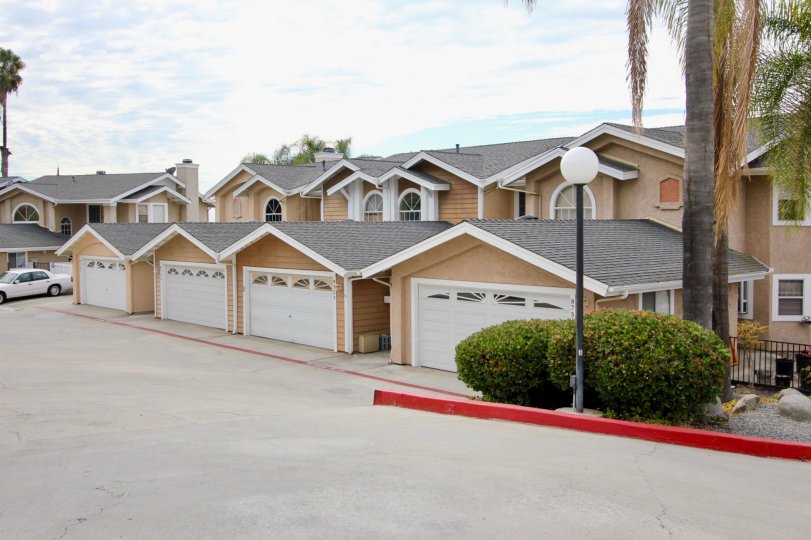 A car is parking in the street of Sunset Ridge and has trees, light lamp and bushes with many houses