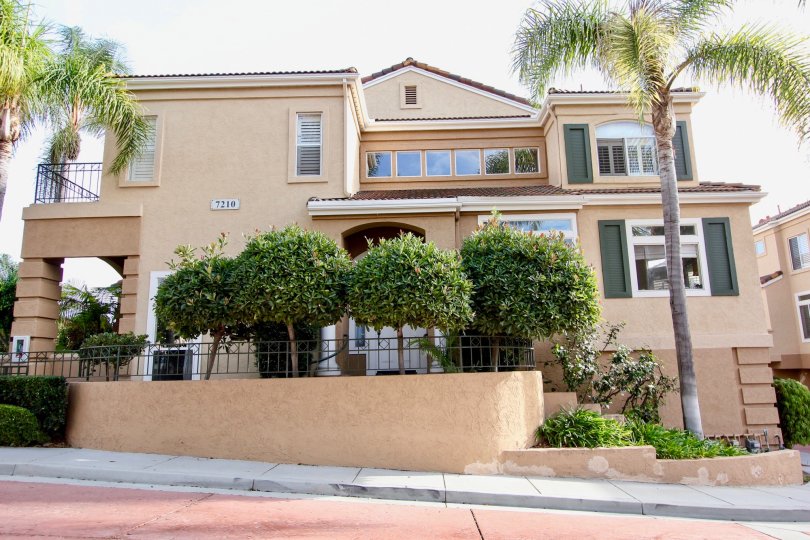 Slope road in front of the huge house numbered 7210 with palm trees in Avanti.