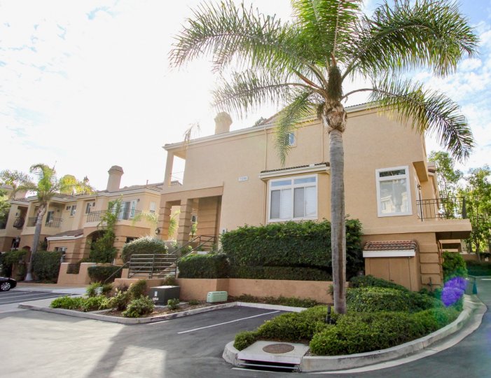 A parking area with palm tree and manicured landscaping at Avanti