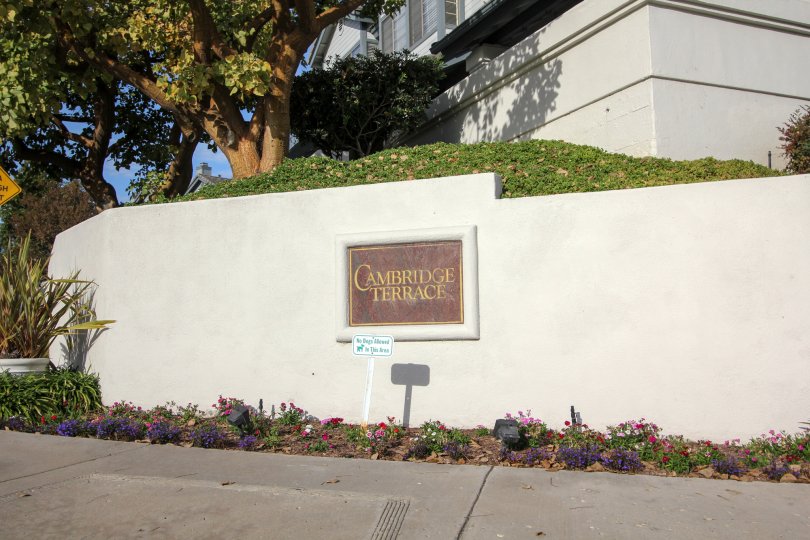 A marble sign with gold writing on a white wall at Cambridge Terrace in University City California