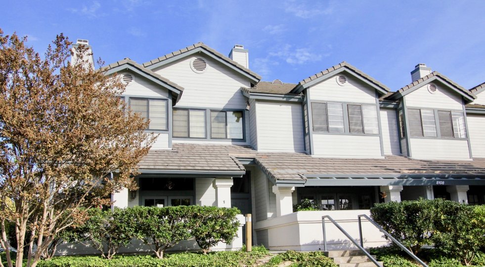 Cambridge Terrace  , University City , California, blue sky, plants