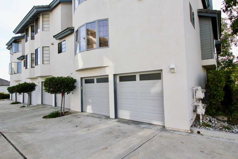 Cambridge Terrace , University  city,California,white sky, plants